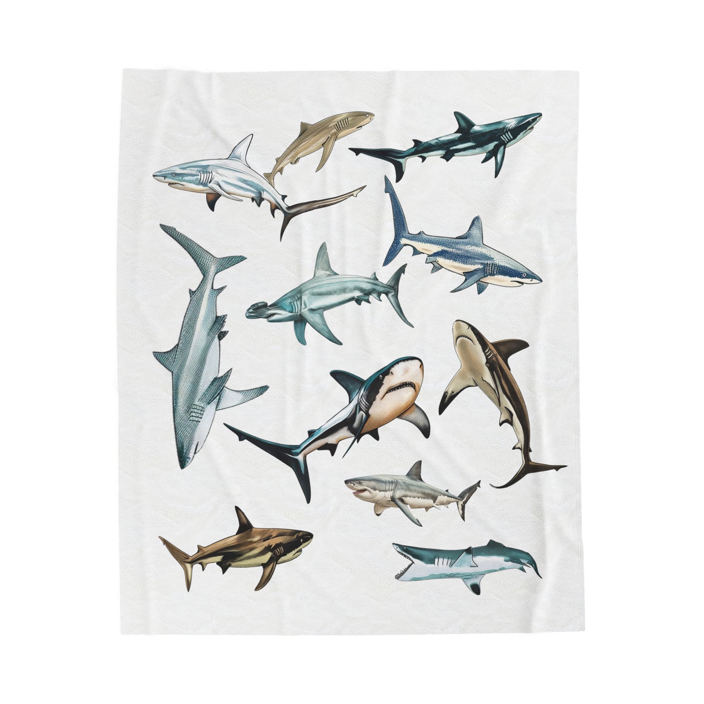 Sharks Blanket | Velveteen Plush Blanket