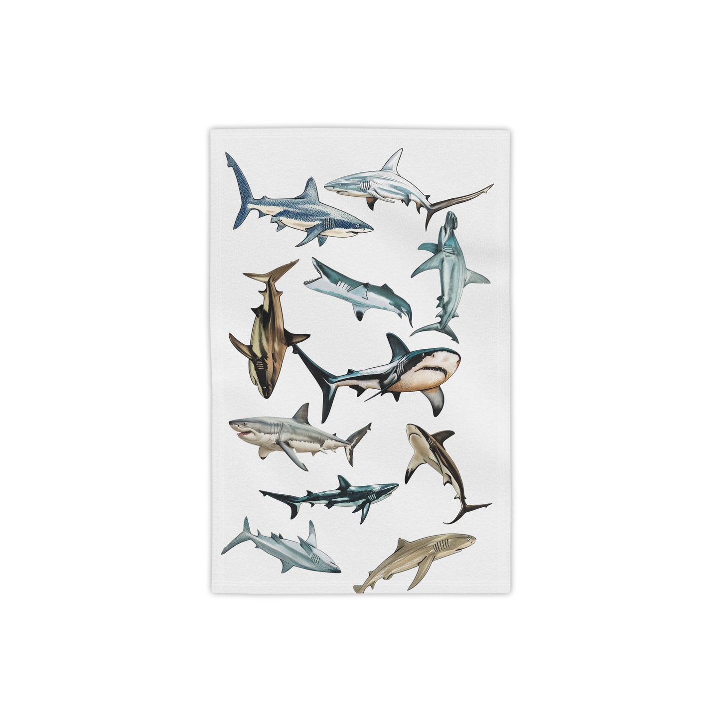 Sharks Towel | Beach Towel