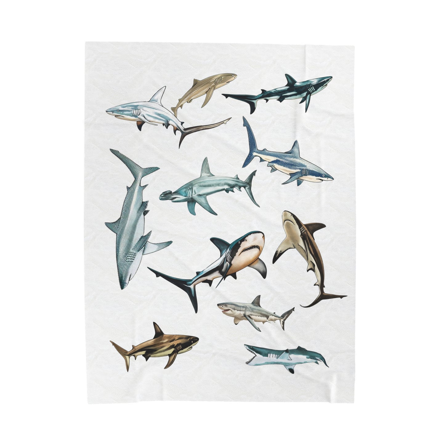 Sharks Blanket | Velveteen Plush Blanket