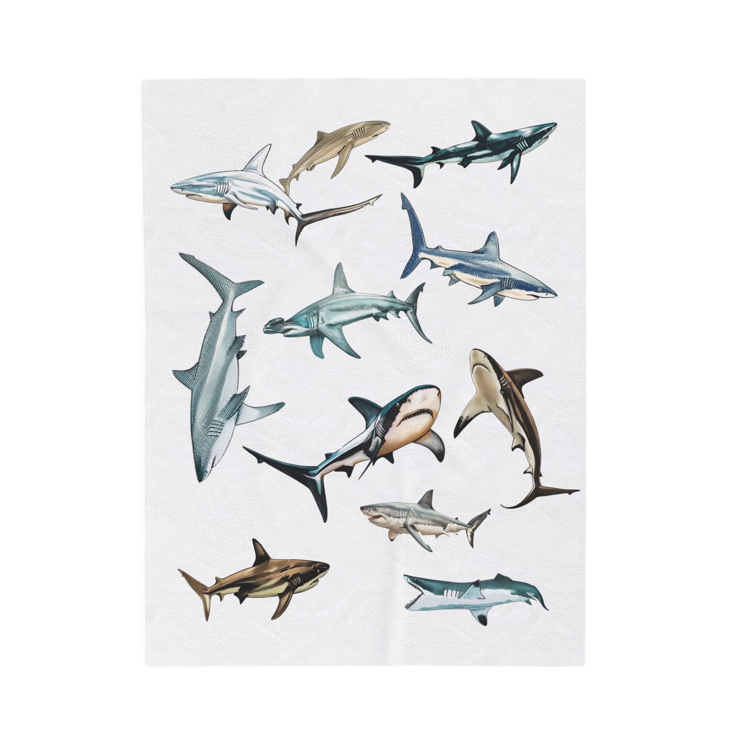 Sharks Blanket | Velveteen Plush Blanket